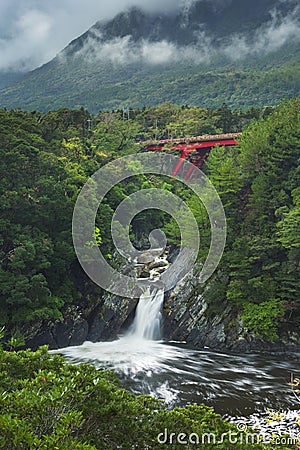 The Toroki Falls on Yakushima Island, Japan Stock Photo